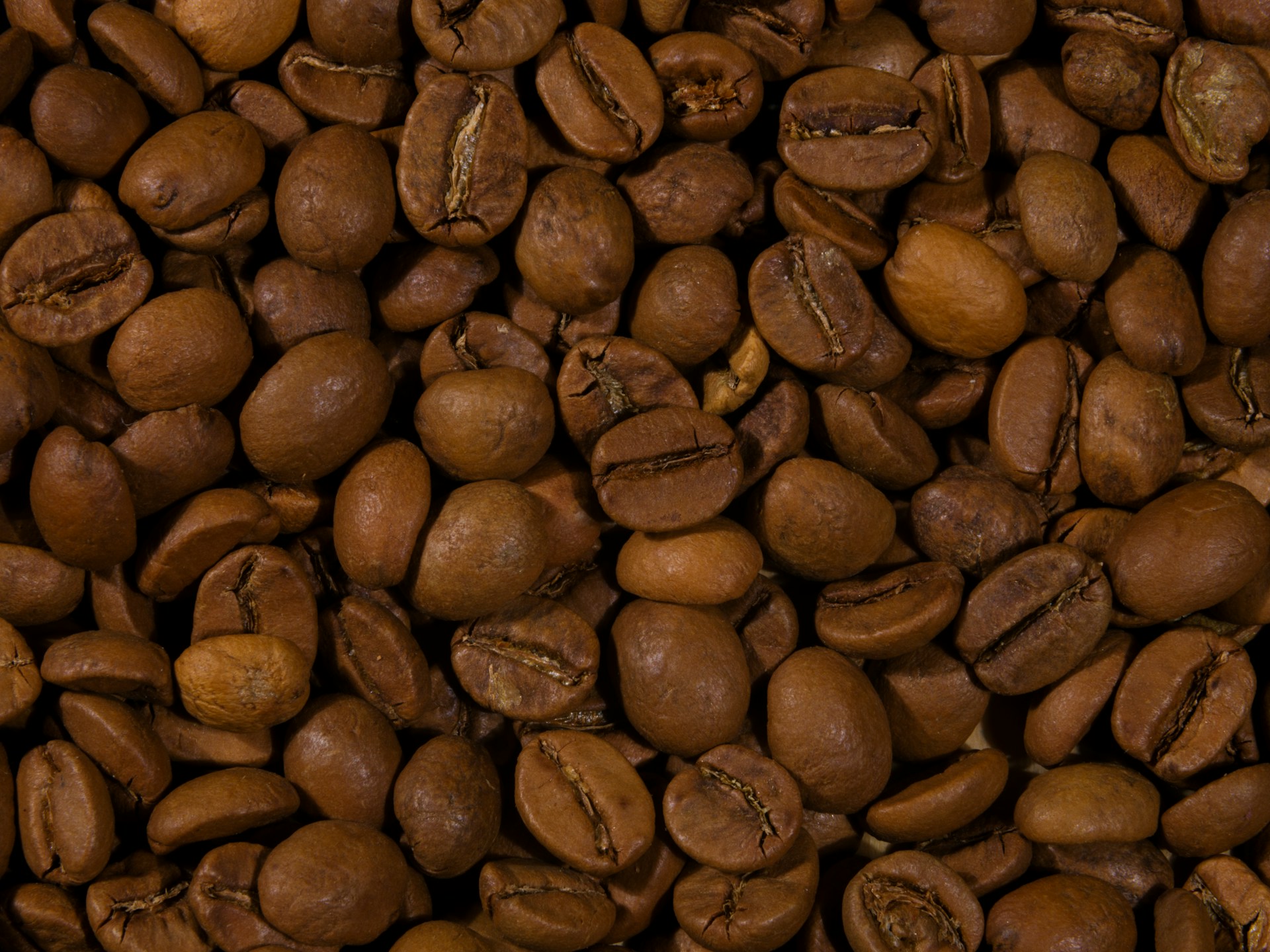 Robusta Roasted